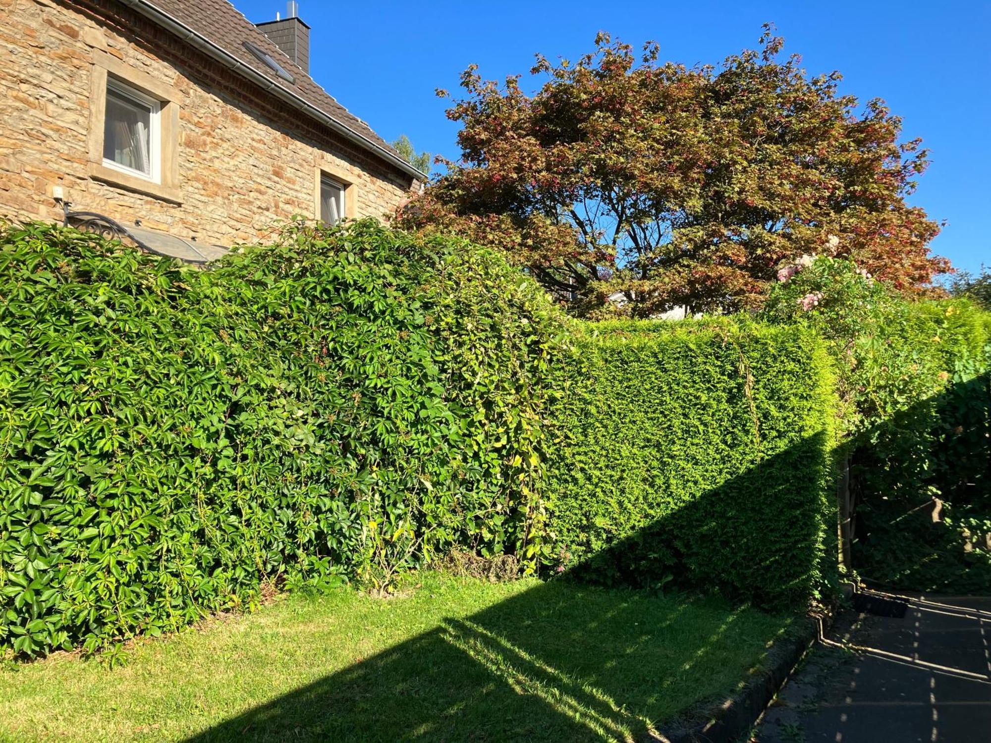 Ferienwohnung Im Gruenen Eg Mit Terrasse Гердеке Екстер'єр фото